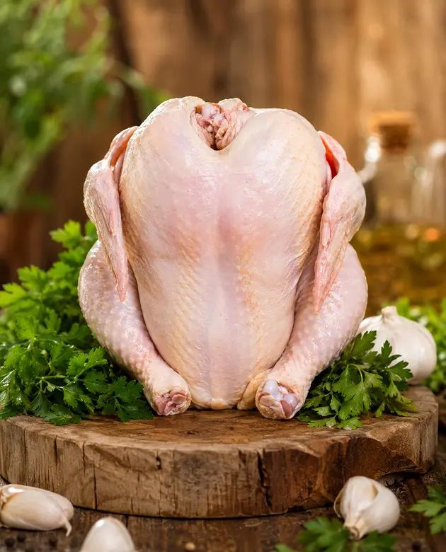 Chicken (Broiler) | பிராய்லர் கோழி