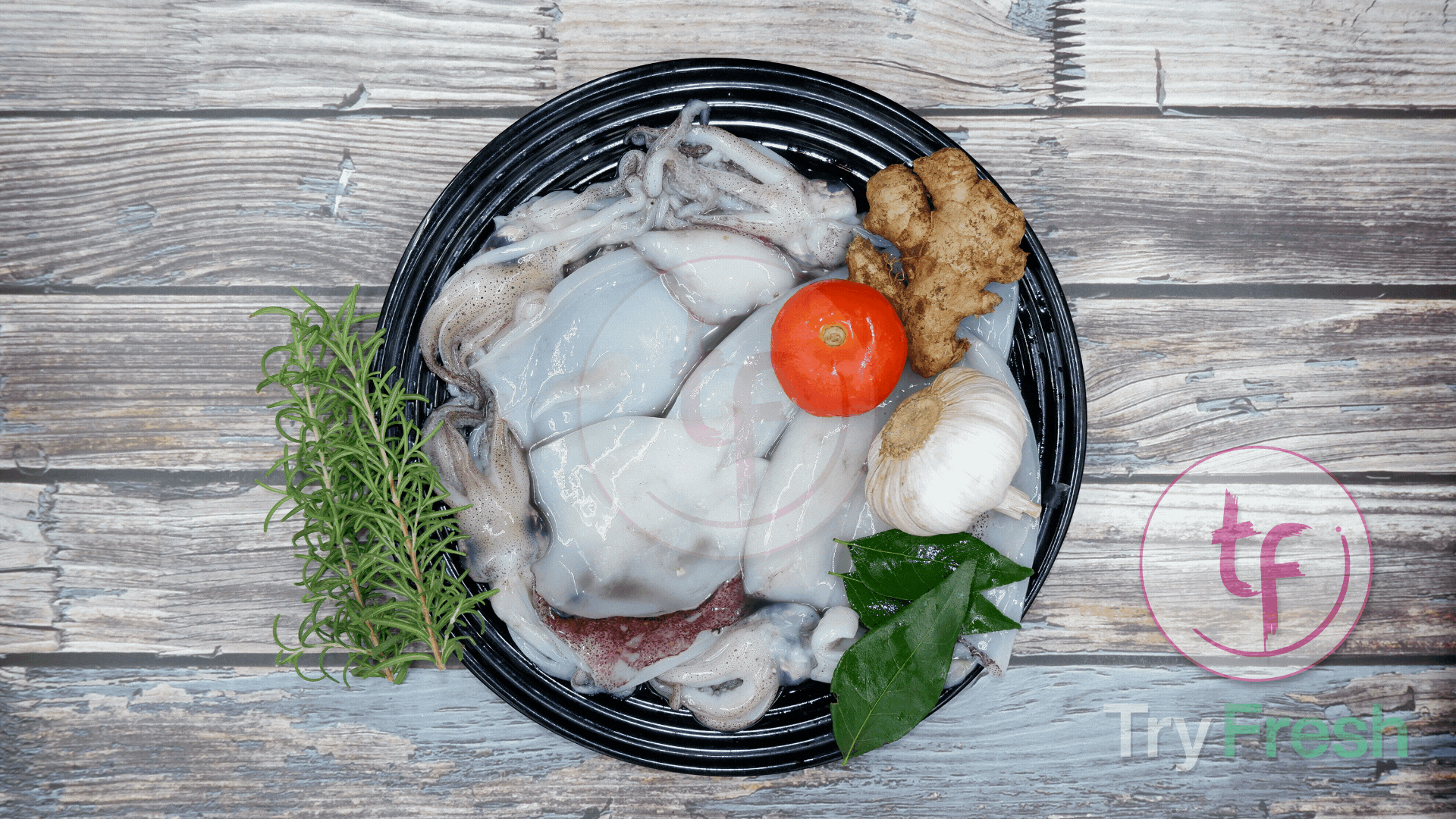 Kanava / Squid (Big) | கனவா - product media