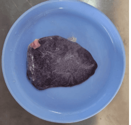 Mutton Spleen (2pcs) | பள்ளு குத்தி - product media