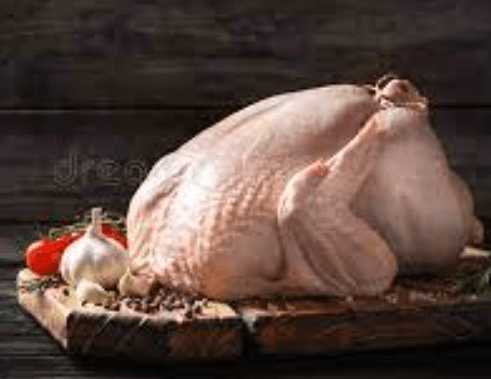 Vaankoli (Turkey) I வான்கோழி - product media