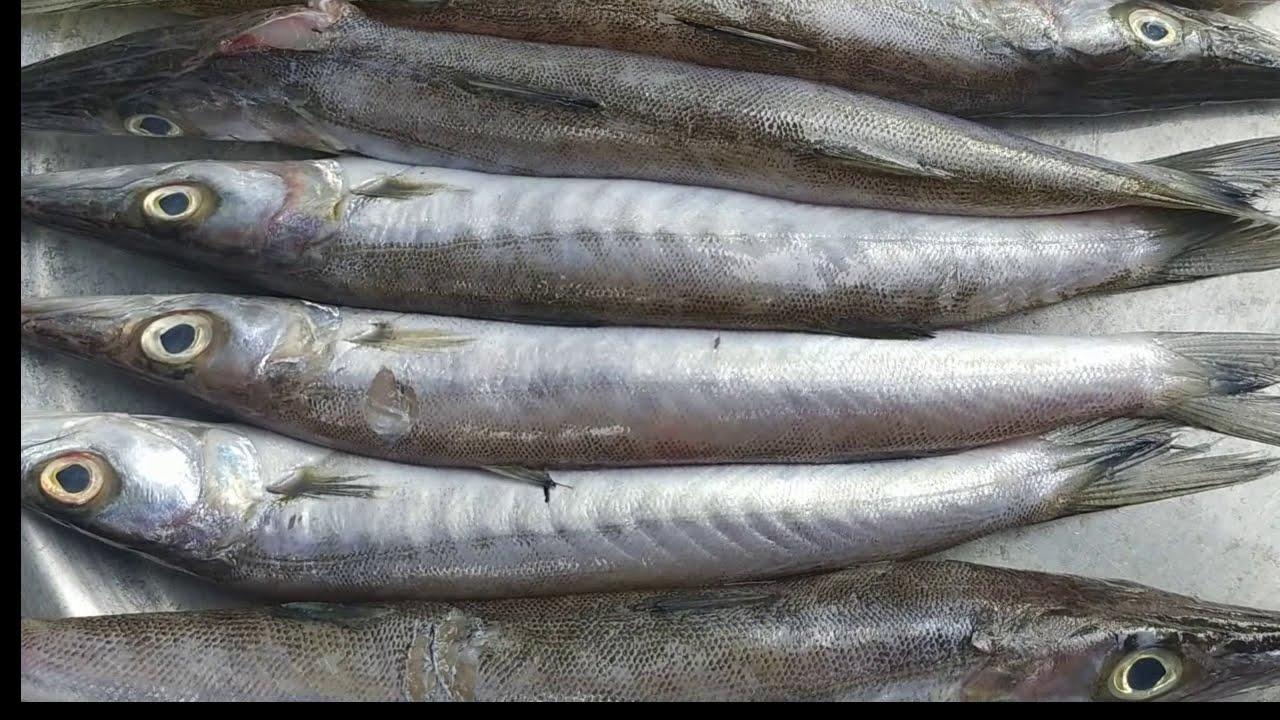 Ooli Fish ஊளி மீன் - product media